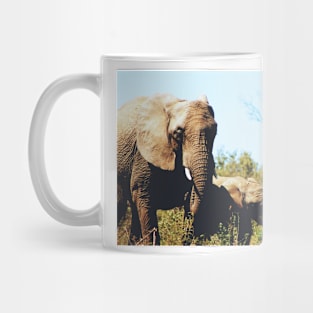 Wild life design Mug